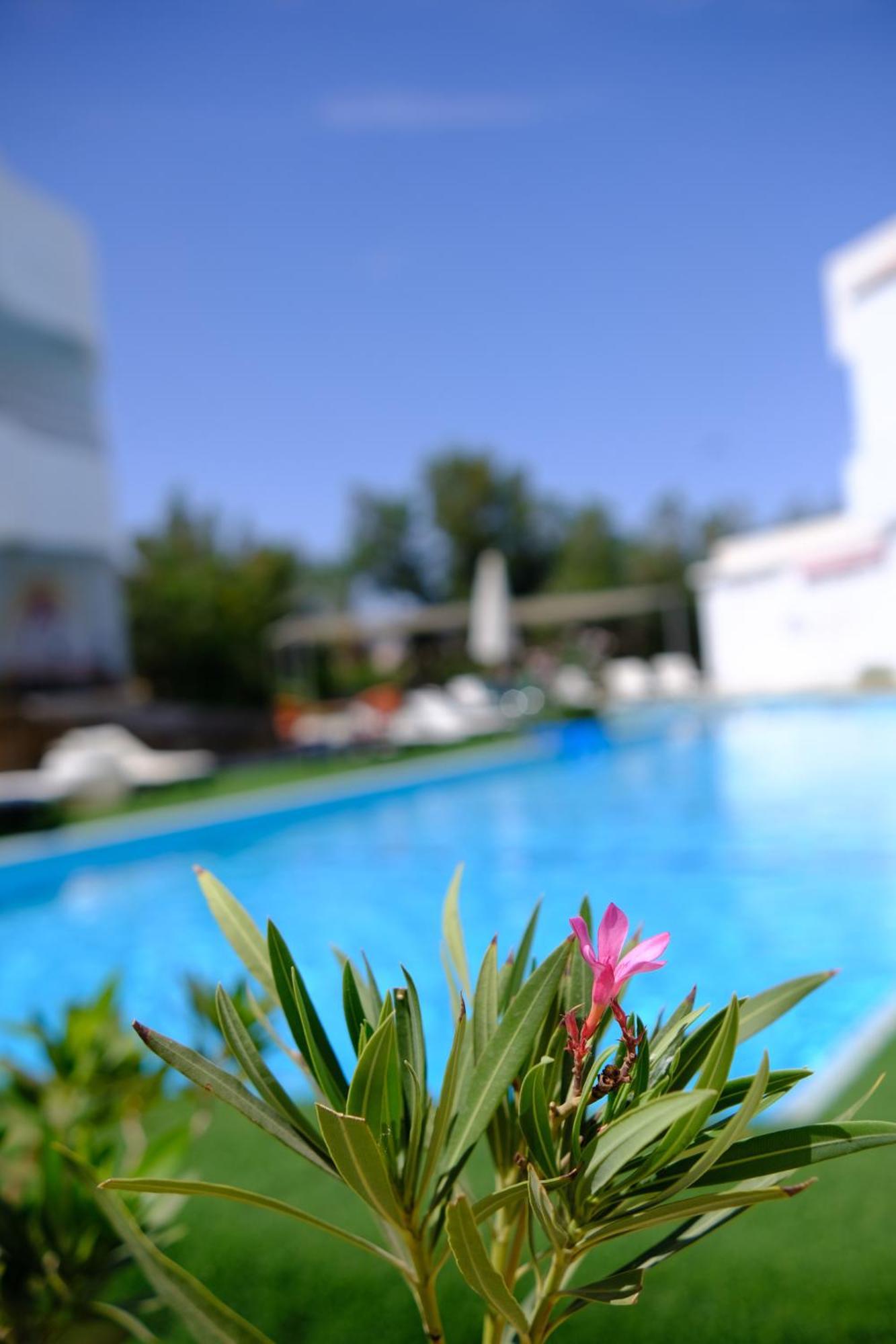 Viking Club Hotel Шарм ел-Шейх Екстериор снимка